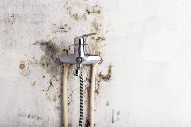 Best Mold Remediation for Schools in South Riding, VA