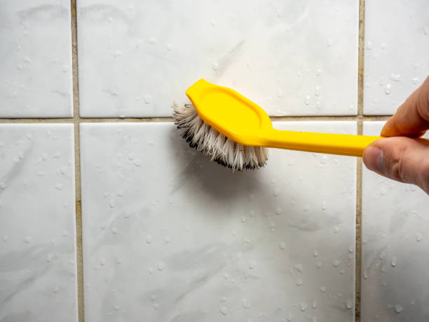 Best Insurance-Related Mold Remediation in South Riding, VA