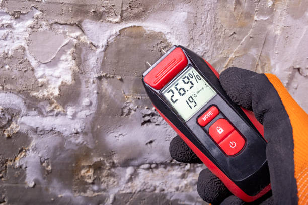 Best Mold Testing and Inspection Services in South Riding, VA